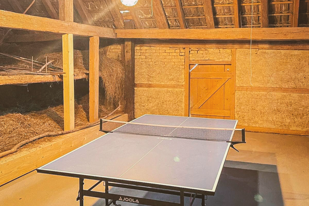 Schuppen Tischtennisplatte